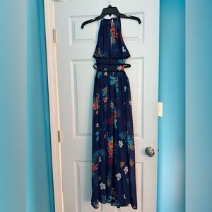 Express Blue and Red Floral Dress